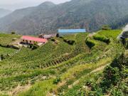 Top Kanatal