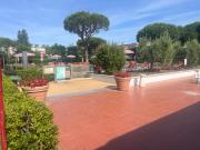 Top Marina di Bibbona
