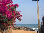 Angel Beach Resort - Pondicherry
