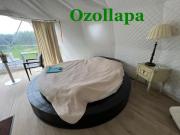 Ozols