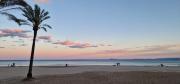 Top Cullera Top Cullera