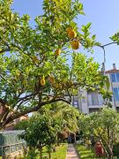 Top Porto