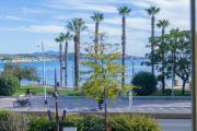 Top Bandol