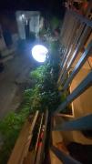 T - Bona Homestay