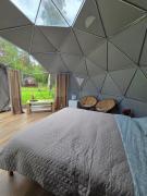Top Bernāti