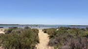 Top Luz de Tavira