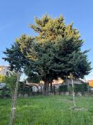 Top Poreč