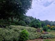 Top Tuoro sul Trasimeno
