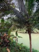 Top Pangandaran
