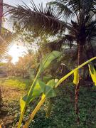 Top Pangandaran