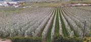 Top Vezzano Top Vezzano