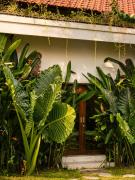 Top Seminyak