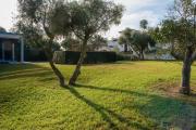 Top Benalup Casas Viejas