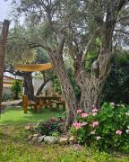 Top Nicosia