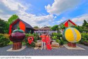 Top Nakhon Si Thammarat