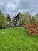 Top Mykulychyn