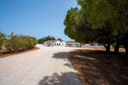 Top Tavira