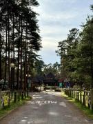 Top Crowthorne