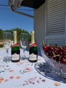 Top Vir