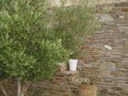 Top Agia Theodoti
