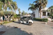 Top Paestum