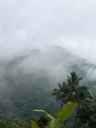 Top Paithalmala