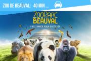 Top Bracieux