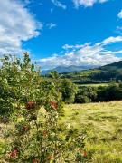 Top Castlewellan