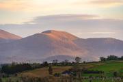Top Castlewellan