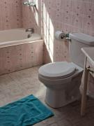 Sweetsop Jamaica Villa and Tours