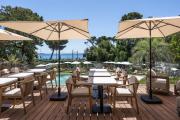 Top Cannes
