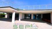 Top Rosolina