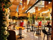 Viva Rooms