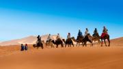Royal Sands Luxury Camp