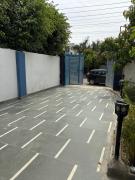 Top Noida