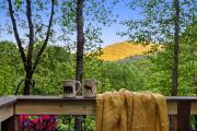 Top Maggie Valley