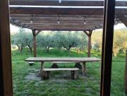 Top Alanno