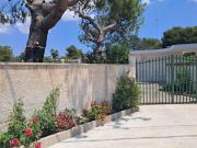 Top Cutrofiano