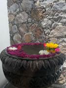 Top San Miguel de Allende