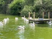 Top Villars-les-Dombes