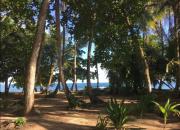 Top Punta Uva