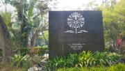 Top Sungai Pelik Top Sungai Pelik