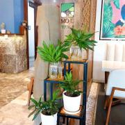 Top Phu Quoc