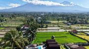 Top Tetebatu