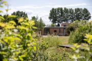 De Eend - Tiny house in de Zeeuwse Natuur