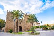 Top Port dAlcudia