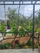 Studio apartman Mare