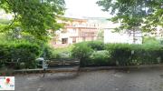 Top Moneglia