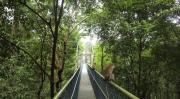 Top Singapur