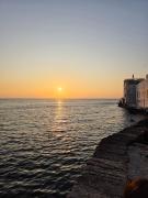 Top Trapani